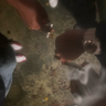 Swervoff4x