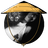 playball.com